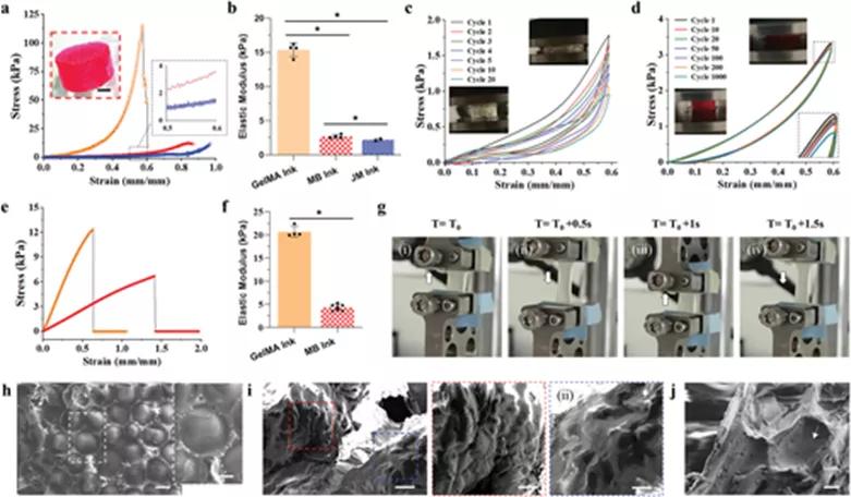 3D printing with high-fidelity microgel biphasic Bio ink - iNEWS