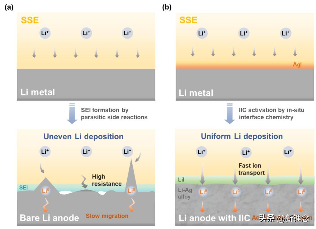 In situ interfacial reaction construction and synergistic interfacial ...