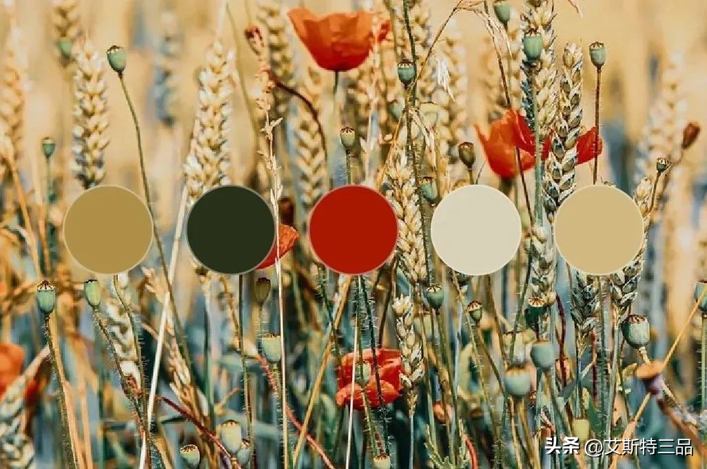 Wear matching colors, nature has already given the answer! Designers ...