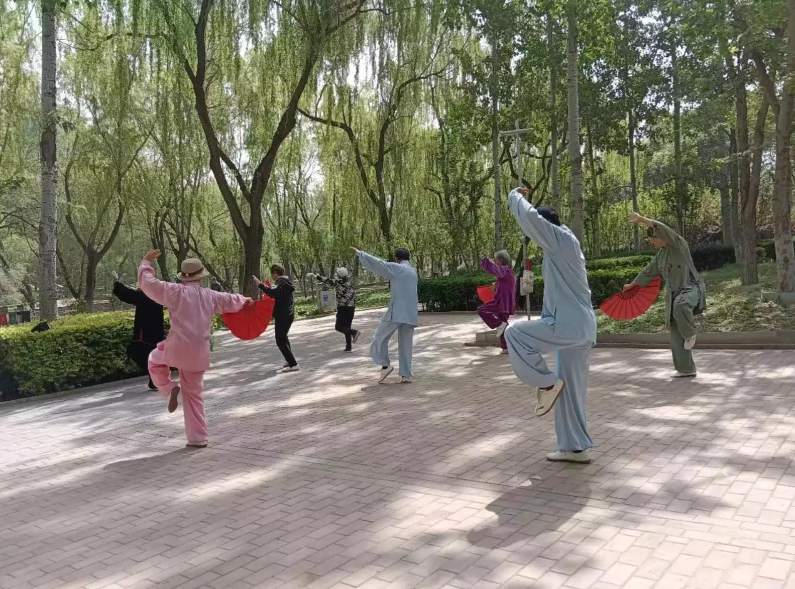 Happy Tai Chi fans dancing - iNEWS