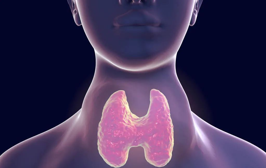 How Should Patients With Hyperthyroidism Eat INEWS