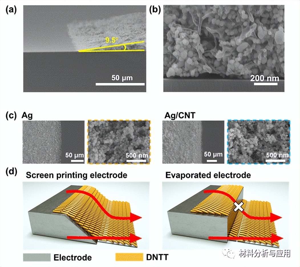 Screen-printed silver and carbon nanotube composite inks for flexible ...