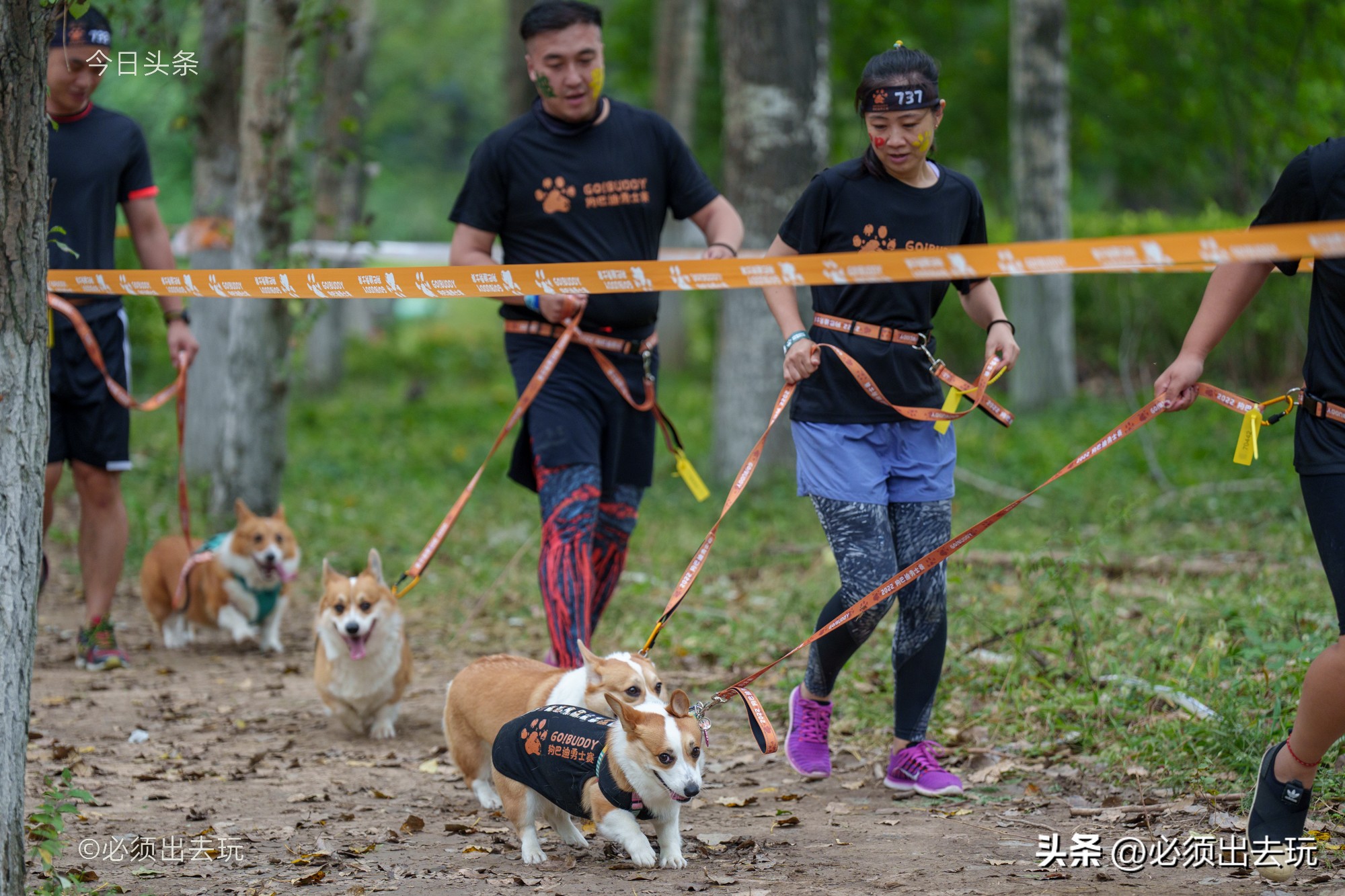 Dog Buddy kicks off!Let's roll in the mud iNEWS