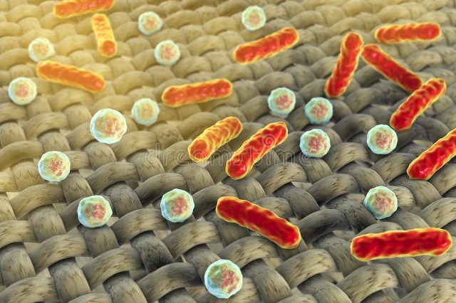 New Species Discovered - Microbes in Rocks - iNEWS