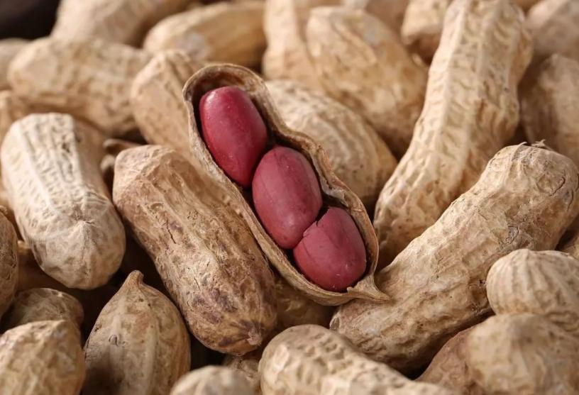 can-eating-peanuts-often-relieve-constipation-may-wish-to-eat-these-6