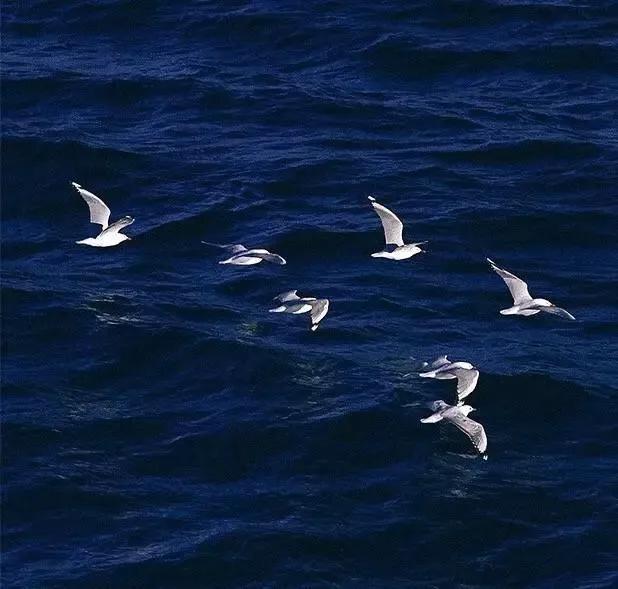 Amazing perfume copywriting iNEWS