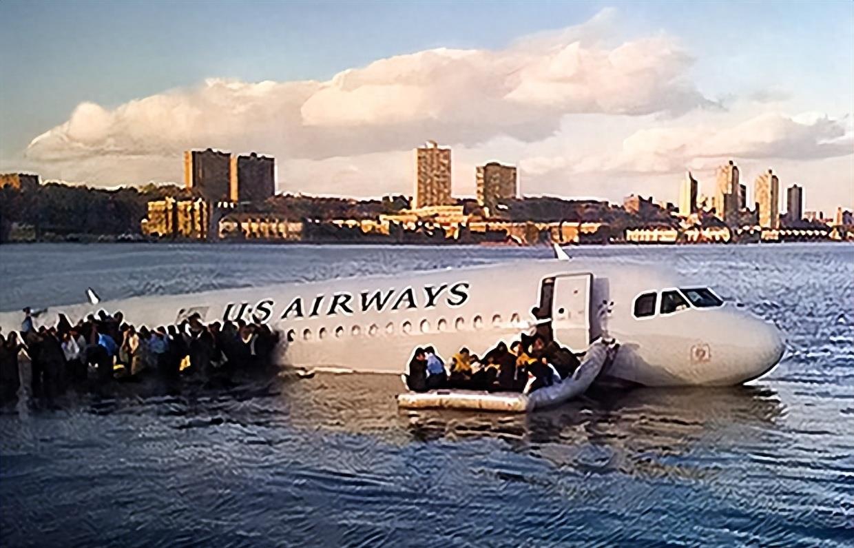 Class A aviation disaster! How serious is a bird collision with a plane ...