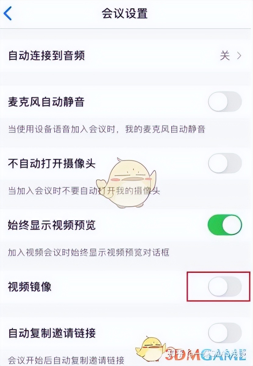What is the use of the mirroring function of Zoom meeting video? iNEWS