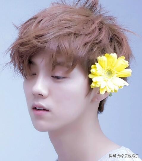 Idols don't love flowers, Lu Han is beautiful, but Wang Yuan is very ...