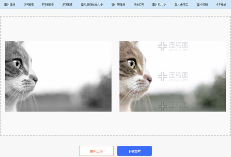 How to restore color from black and white photos?How to restore and ...