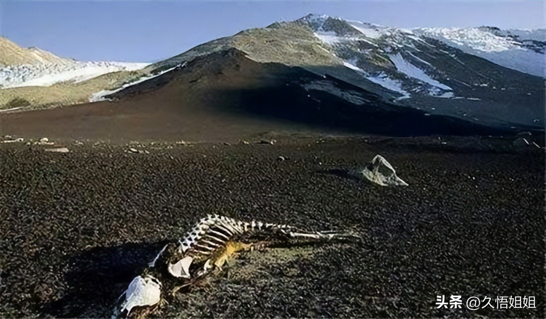 Why Is Kunlun Mountain Heavily Guarded And Turned Into A Forbidden Area   9b8606b33c574a18b9d02a063b26d06c 