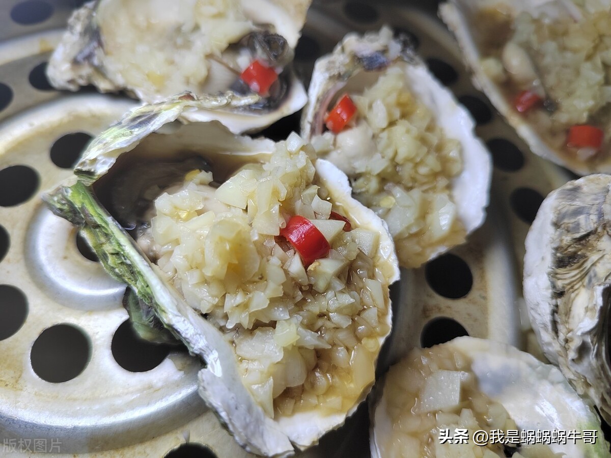 What is the nutritional value of oysters? Why do so many people like to