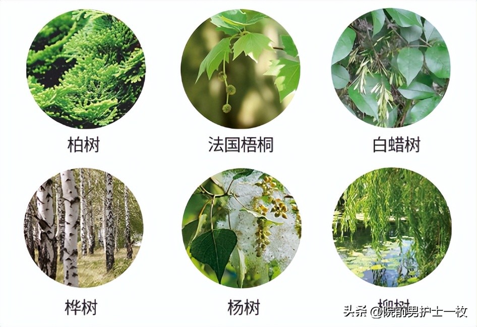 Spring pollen allergies are coming, so be prepared - iNEWS