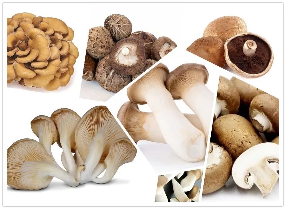 Increased consumption of mushrooms is associated with a reduced risk of
