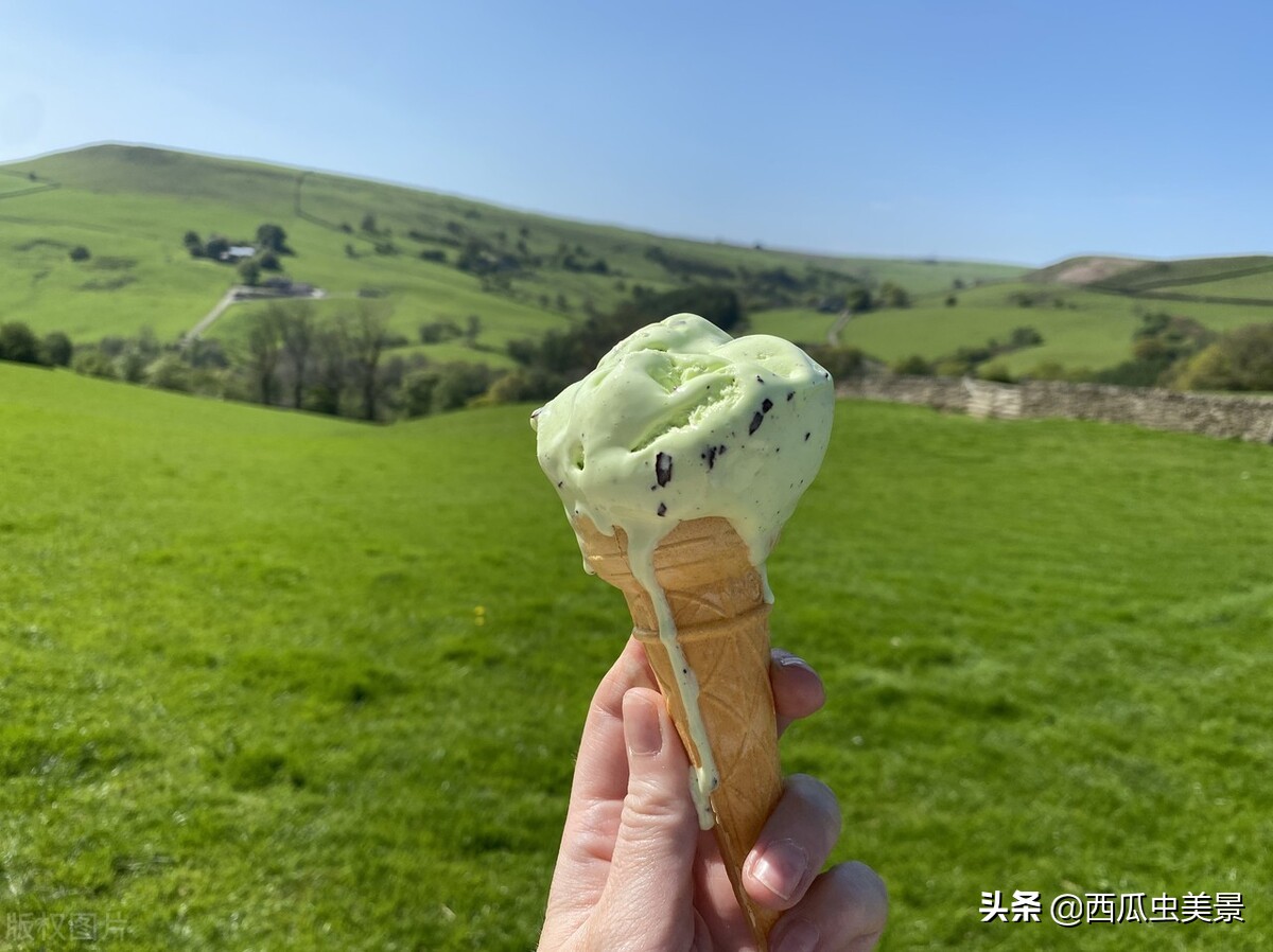 An ice cream farm in England, a great place to enjoy nature iNEWS