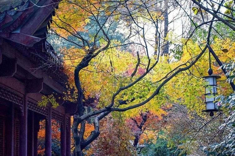 Hangzhou in March, the best world - iMedia