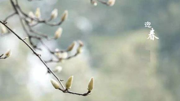 春色在诗文 或是醉卧春秀 或是愁入春情 资讯咖