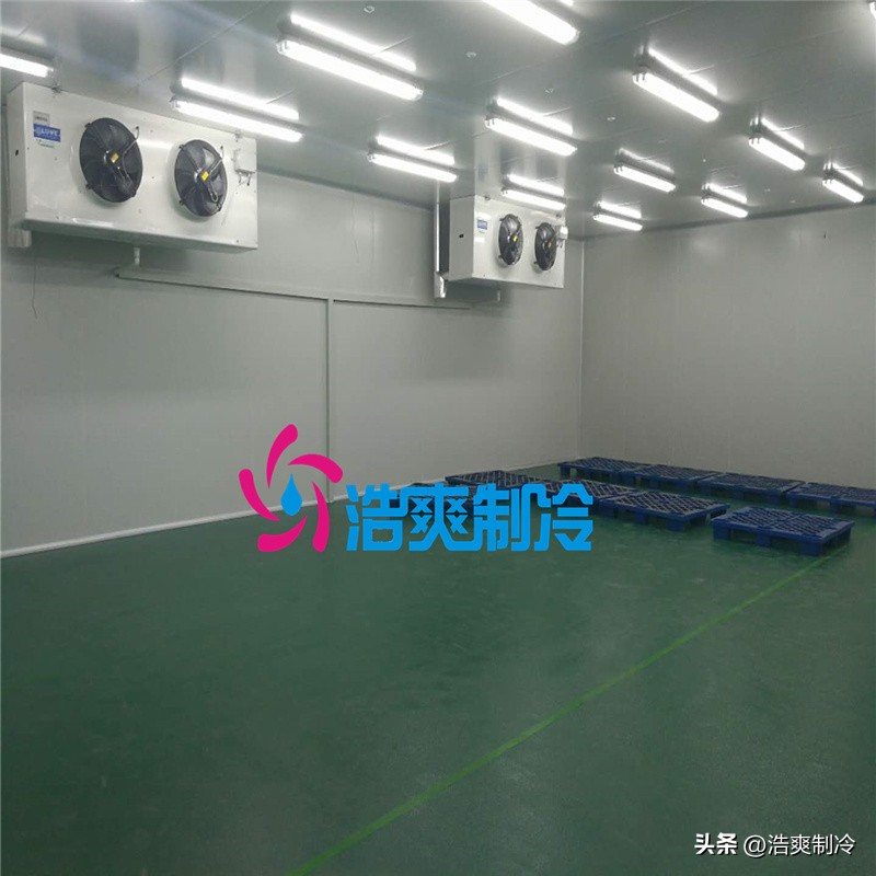 What are the design requirements for building a blood freshkeeping