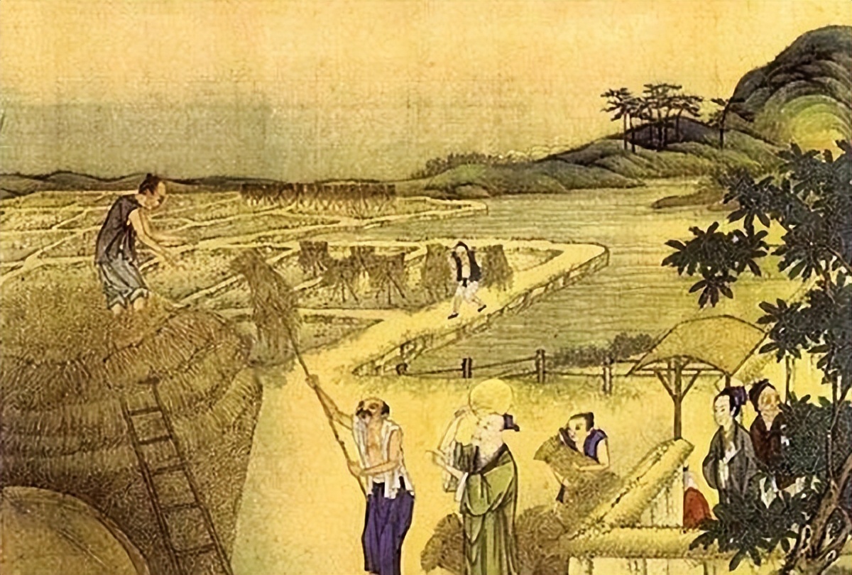 Explore ancient Chinese grain and grass, its classification and origin ...