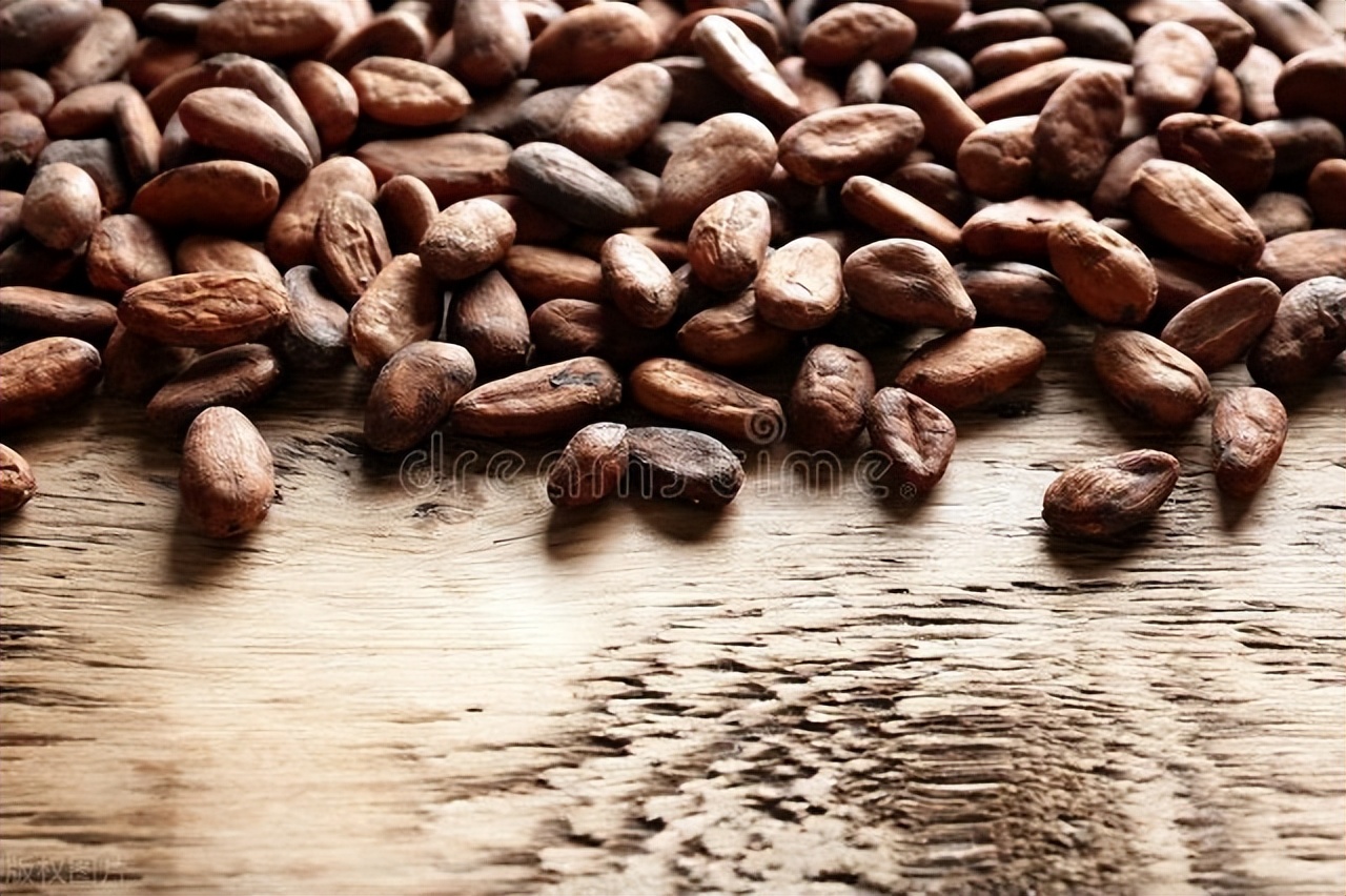 The Legend of Chocolate The Mystery of the Origin of the Mysterious