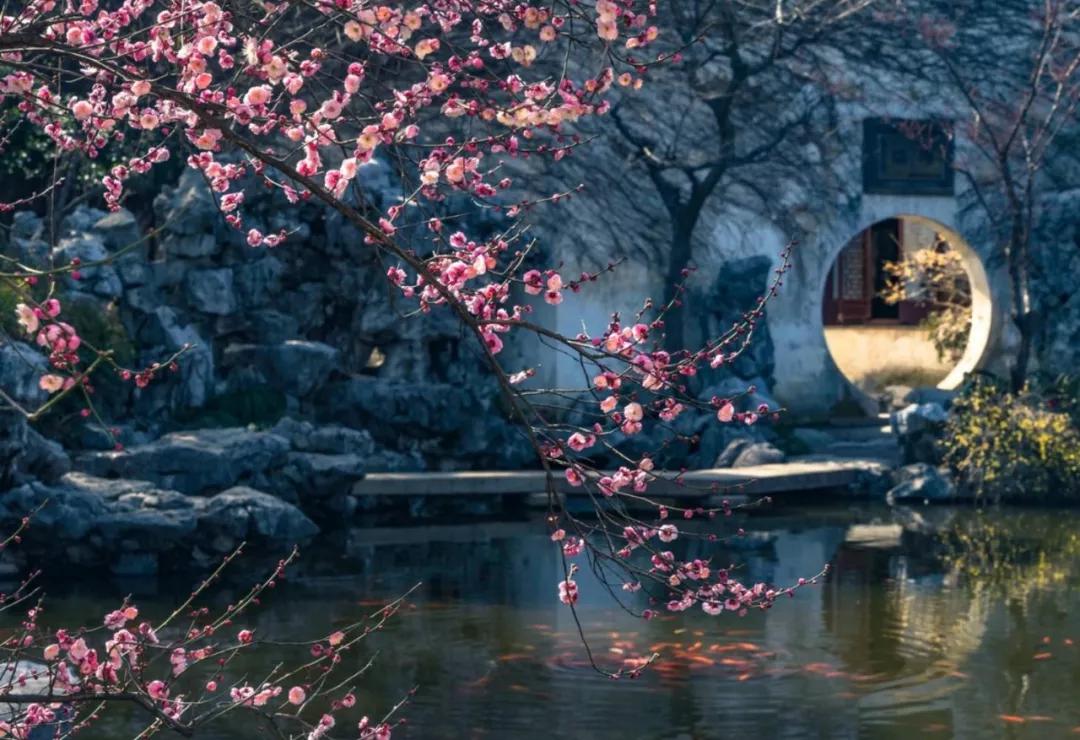 There are flowers in my heart, spring is always in life iMedia