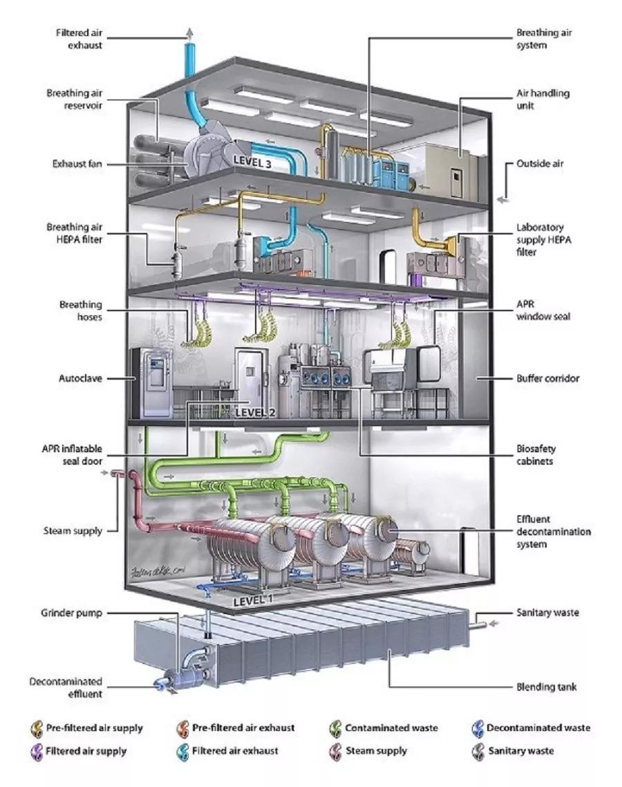One article to understand the difference between P1, P2, P3, and P4