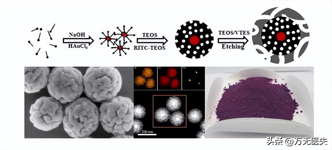 Interaction of gold nanoparticles with blood proteins - iNEWS