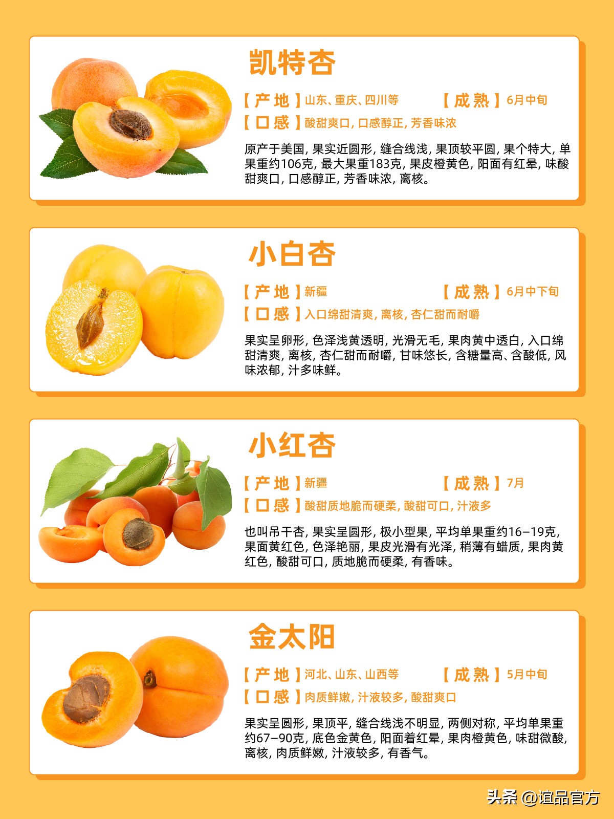 The name and taste of common apricots iMedia