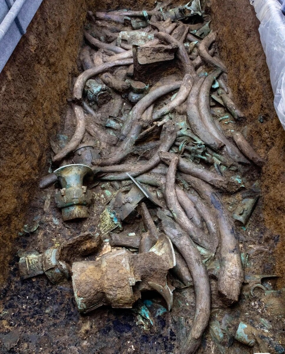 Where does Sanxingdui ivory come from?Do Elephant Graveyards Exist?What