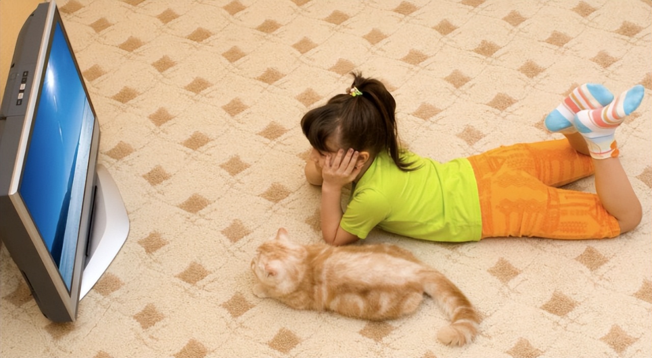 Does your cat like to watch TV? iNEWS