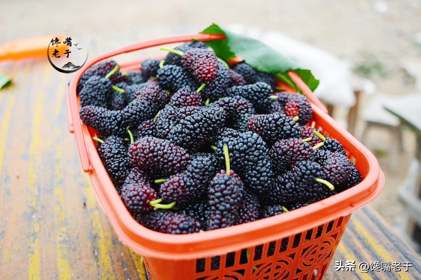 When washing mulberries, only washing with water is equivalent to