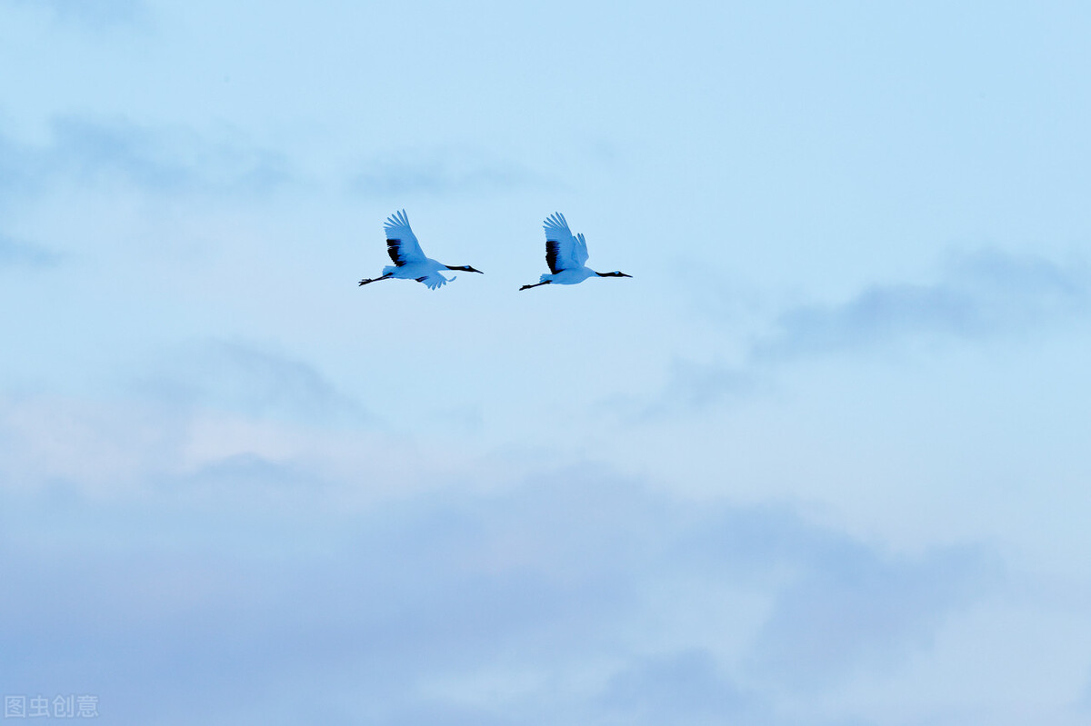 Since ancient times, autumn has been sad and lonely. I say that autumn