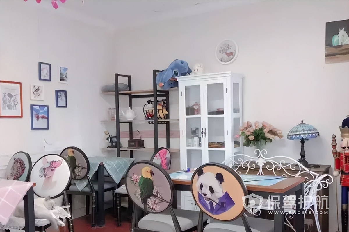 How to design a cat cafe shop to be more attractive iNEWS