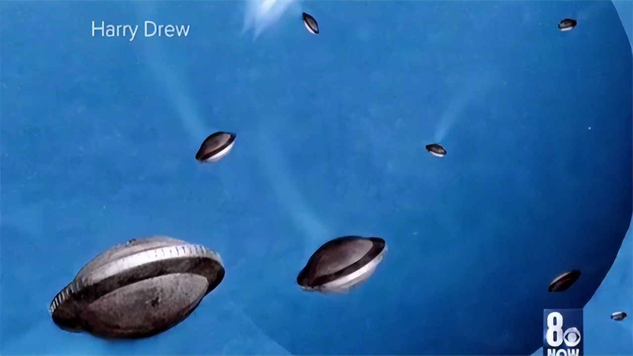 Kingman UFO crash: Area 51 workers say alien survivors helped redesign ...