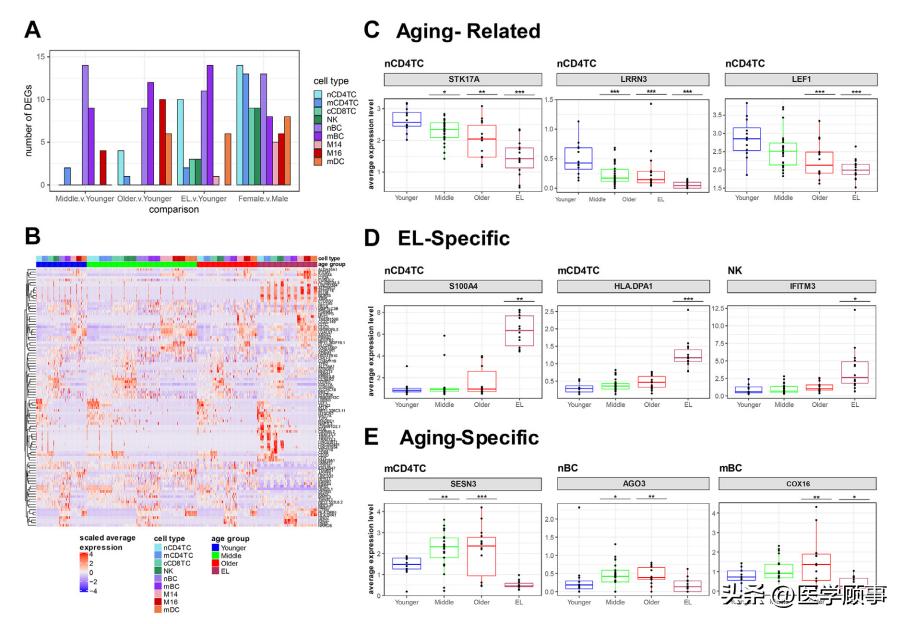 The secret of longevity, the Lancet subjournal studies the strong