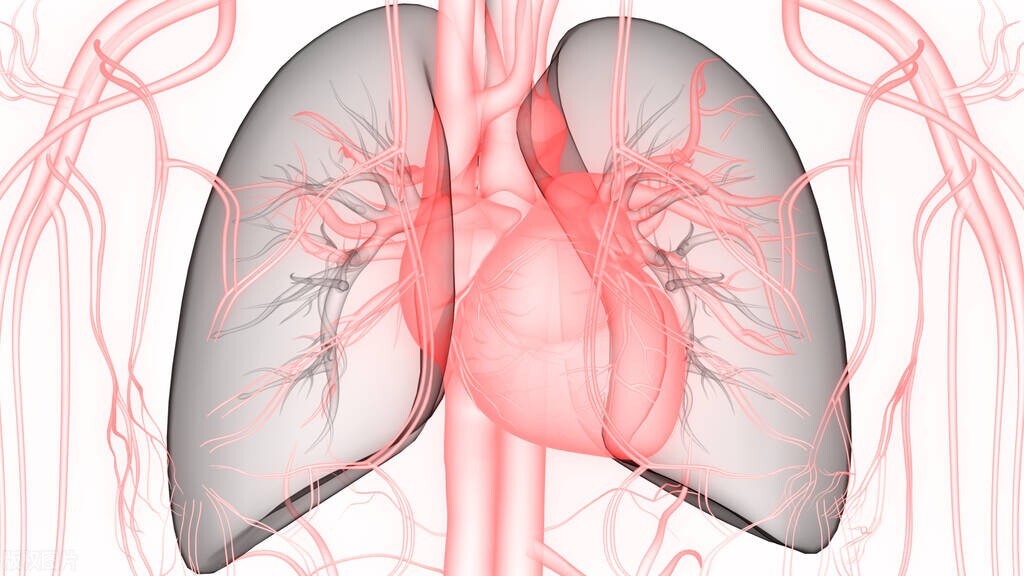 Lard is a cardiovascular and cerebrovascular killer? Is eating lard