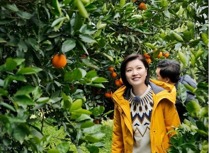Is the top host Chen Rong being hacked? She returns to her old company ...