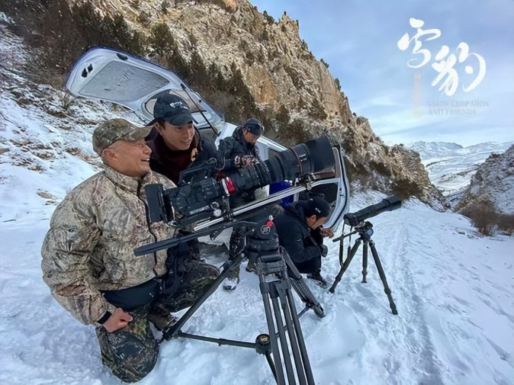 "Snow Leopard and Her Friends" Director Xi Zhinong I have buried my