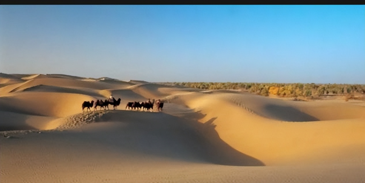 The emergence of lakes in the Taklimakan Desert is a natural warning or ...