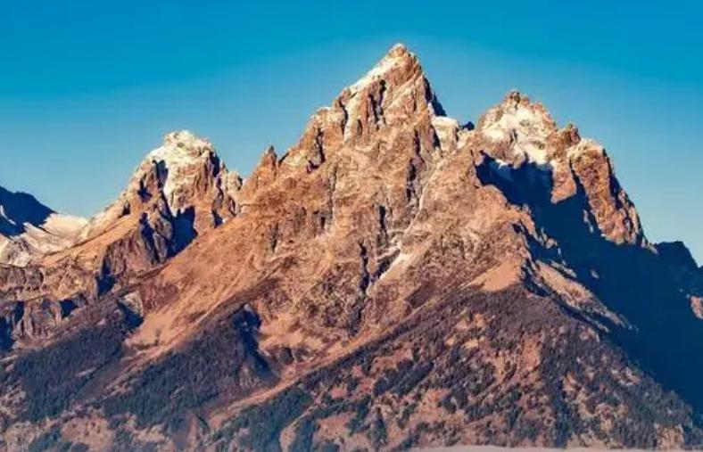 The German "The Knockout" movement the meaning and representative