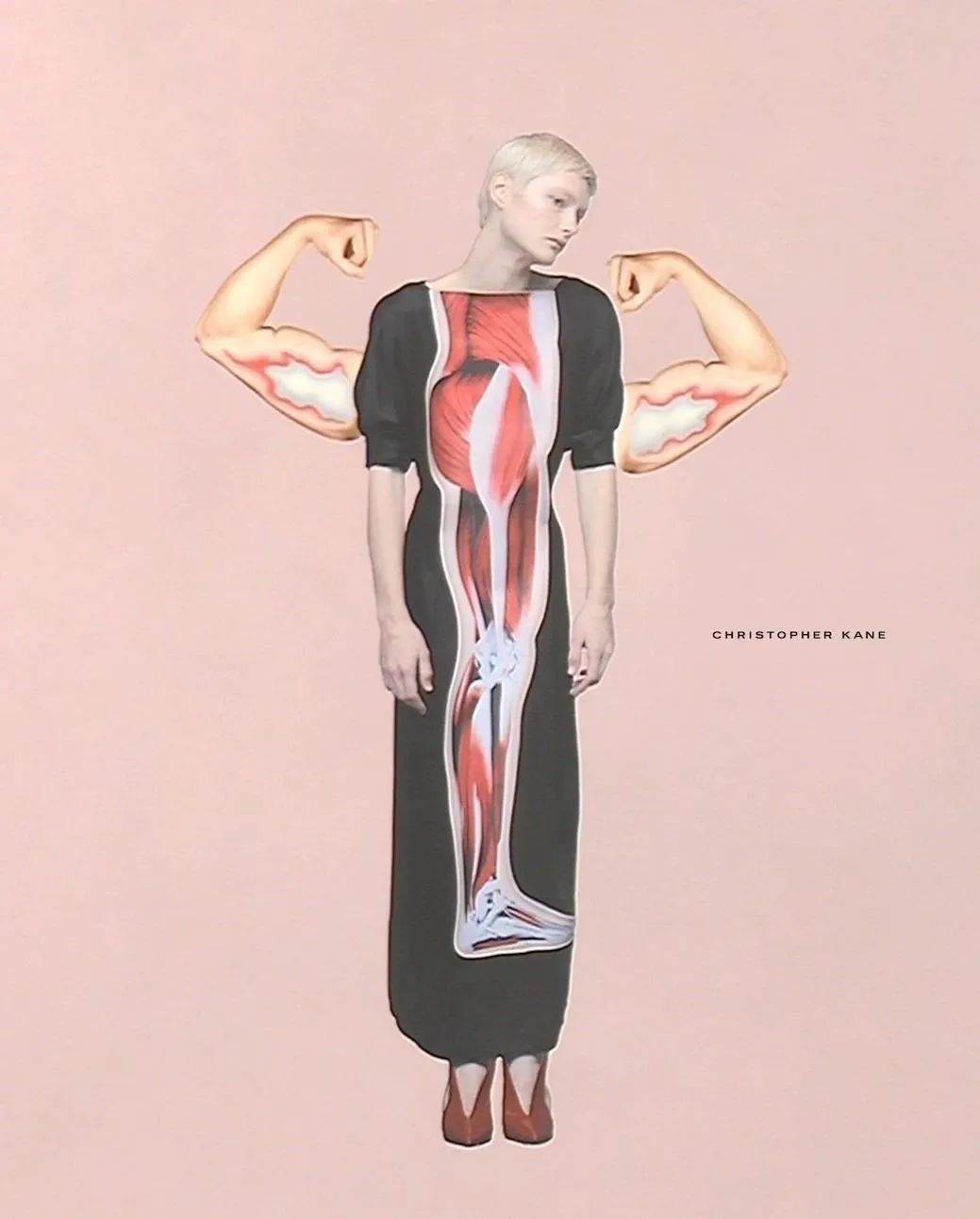 Fashion Brand Best Creative Collection 