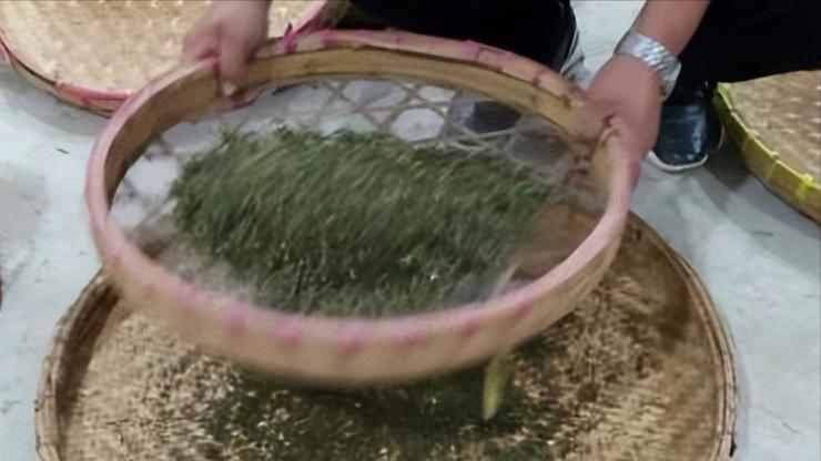 Jinling Tea Culture Tourism Village - Huanglongxianchun Tea is on the ...