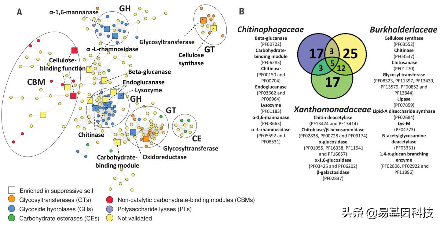 Science: Metagenome sequencing reveals pathogen-mediated plant endophytes