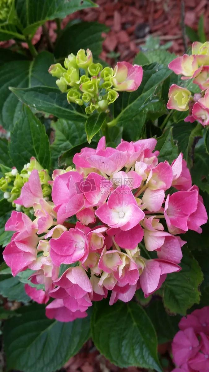 Appreciation of teacher Cao Wenyou's poems - iMedia