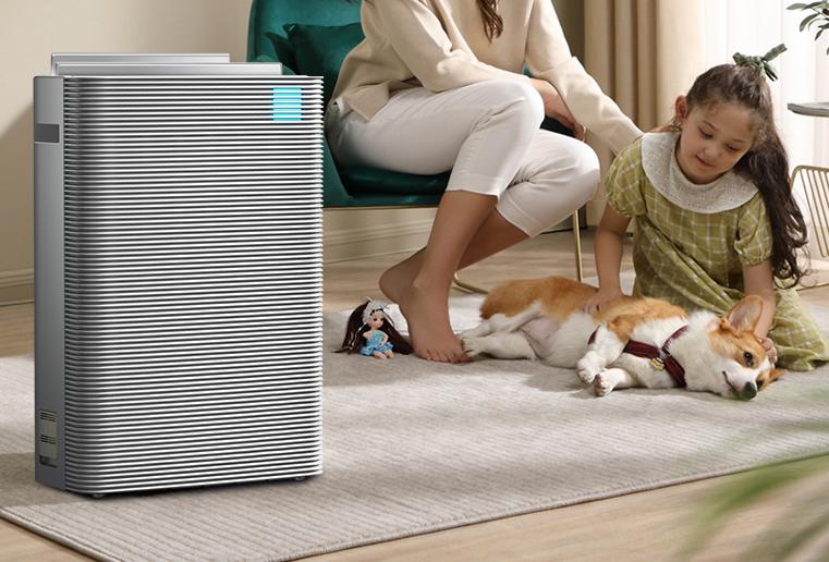 Top ten rankings of negative ion air purifiers, which brand of negative