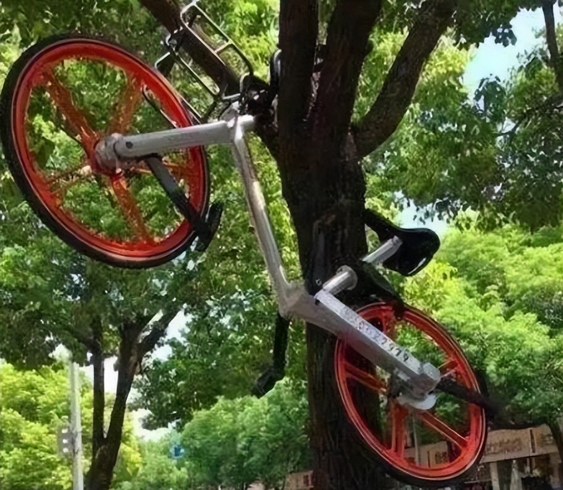 Is the chaos of shared bicycles frequent?File assistance standard