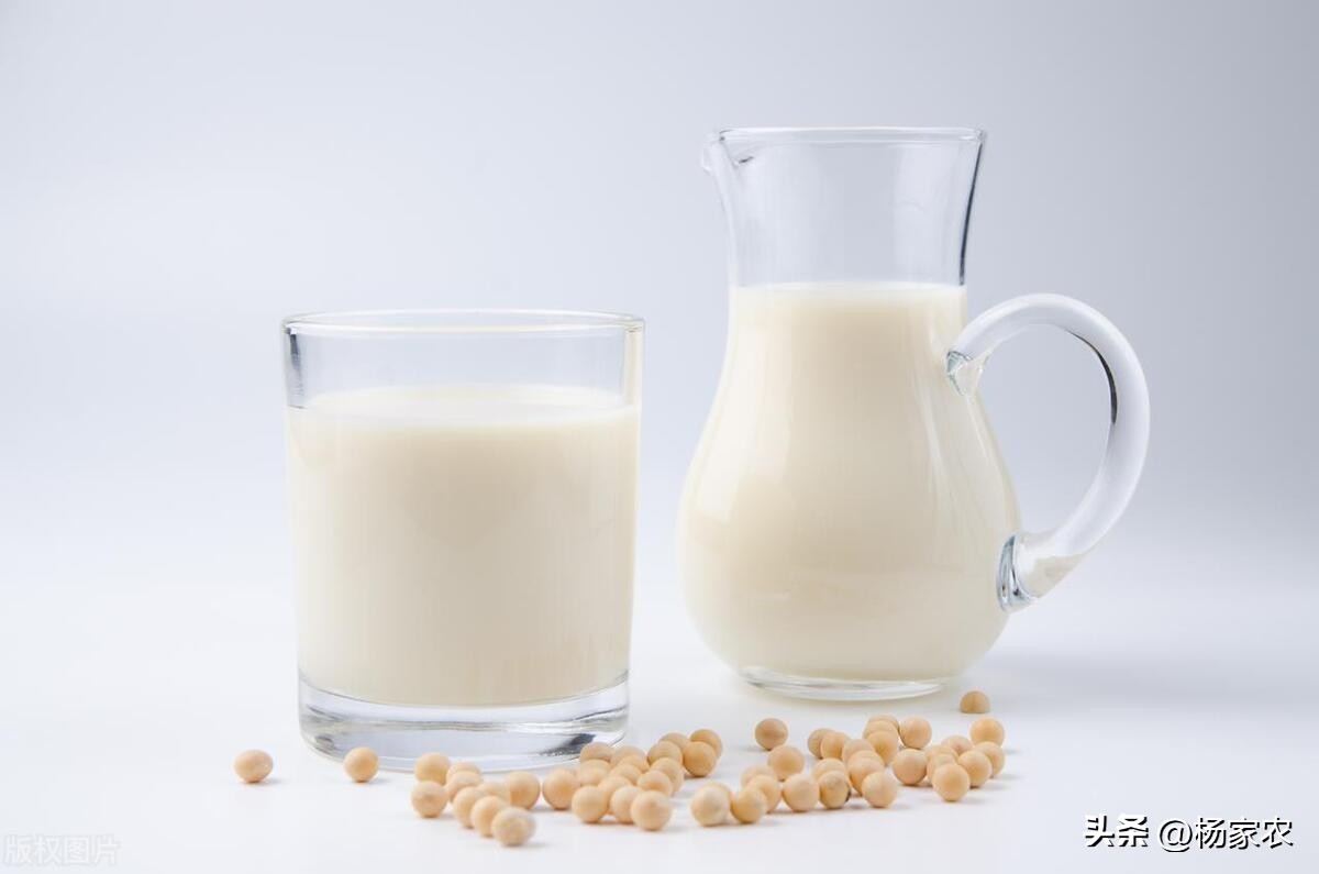 People who are not suitable for drinking soy milk understand the