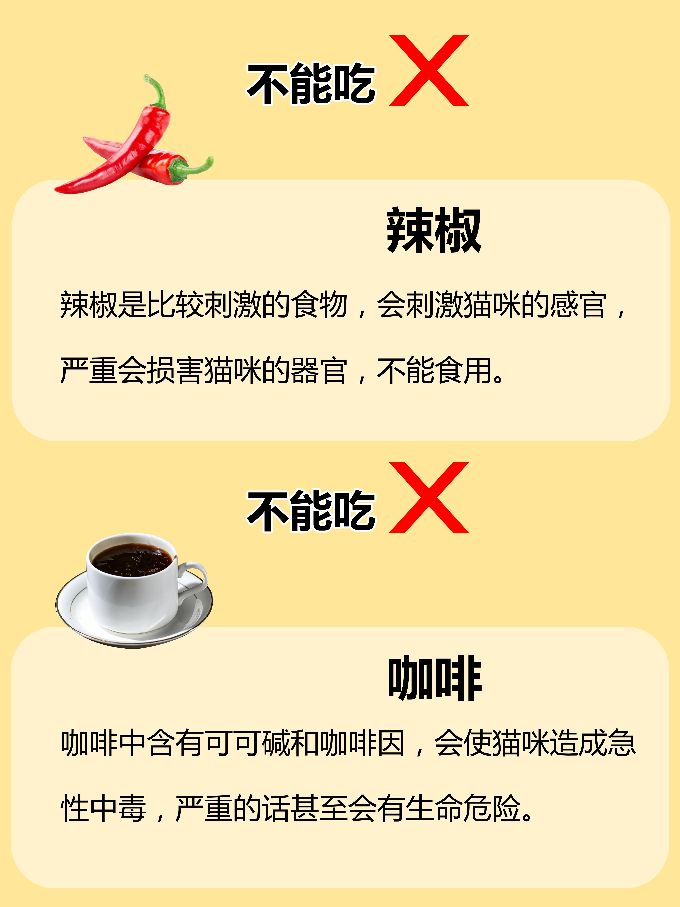 Cat food quick checklist, don't feed cats without iron stomach iNEWS