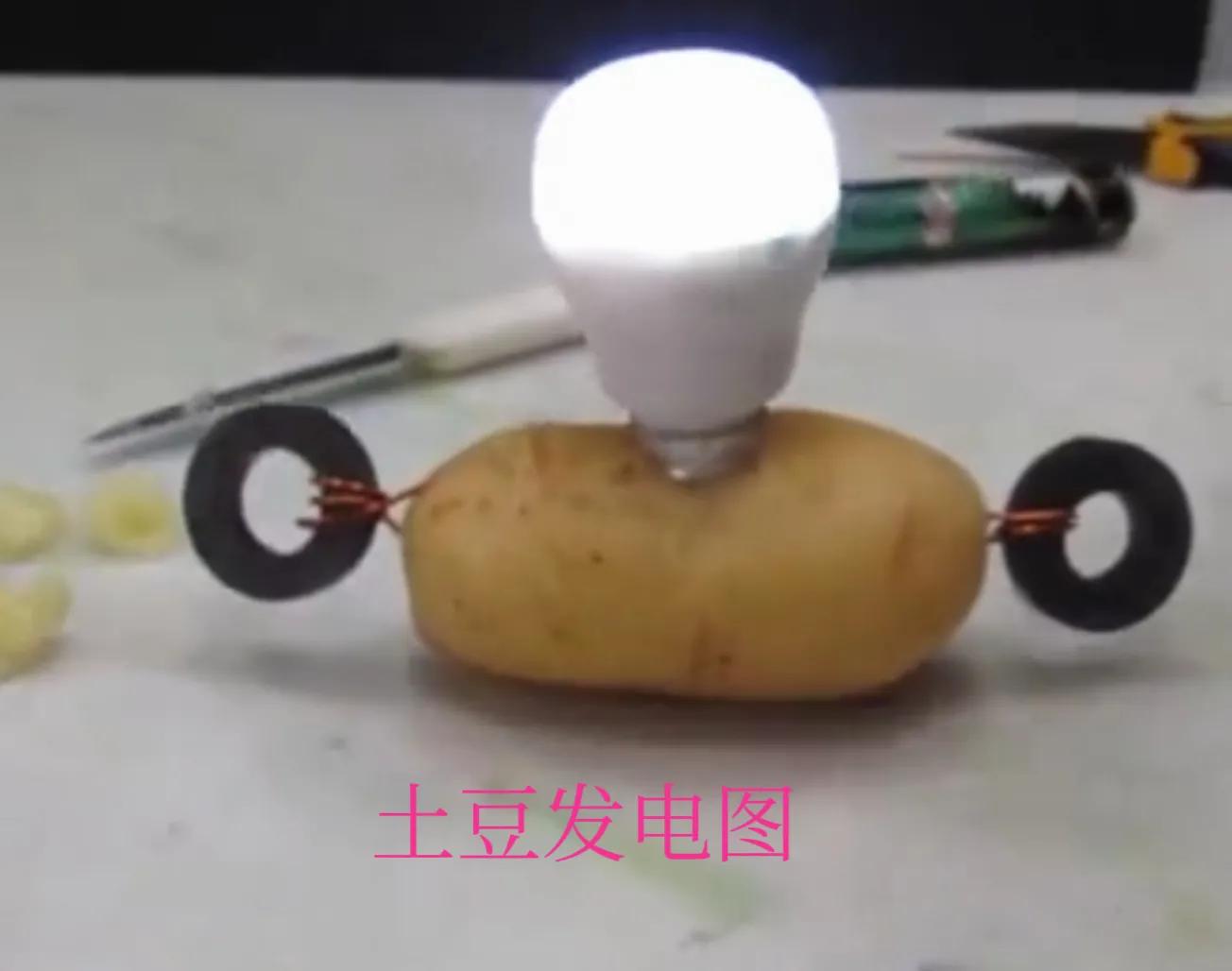 Why can potatoes generate electricity? iNEWS