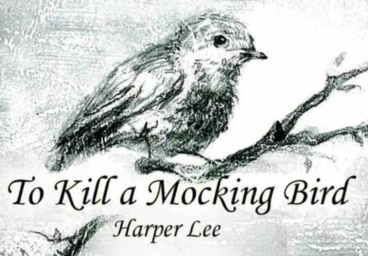 To Kill a Mockingbird Get to know a man really, get in his shoes, and